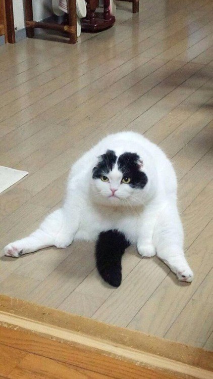и: В 5
