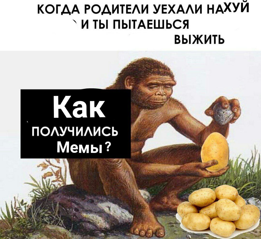 КОГДА РОДИТЕЛИ УЕХАЛИ НАХУЙ `ИТЫ ПЫТАЕШЬСЯ ВЫЖИТЬ Kak ПОЛУЧИЛИСЬ Мемы foe