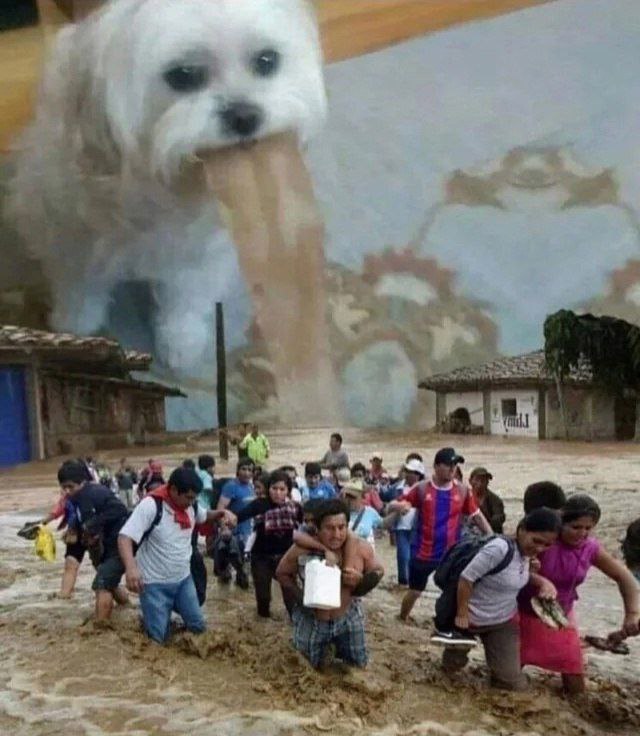 7 My A и 7 a aN a A 2 РАК