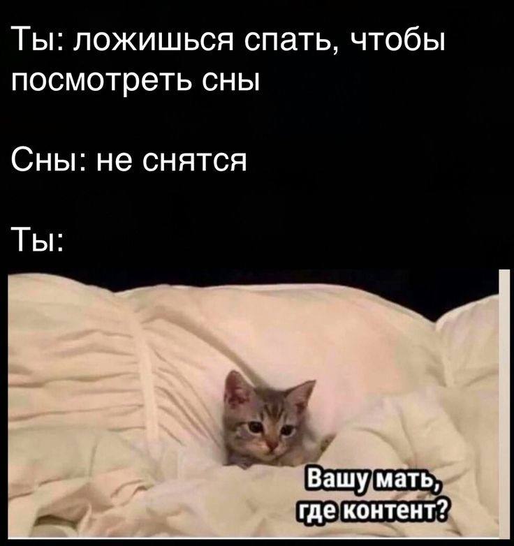 Ты: ложишься спать, чтобы посмотреть сны Сны: не снятся Ты: Вашу мать, где контент?