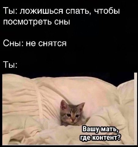 Ты: ложишься спать, чтобы посмотреть сны Сны: не снятся Ты: Вашу мать, где контент?