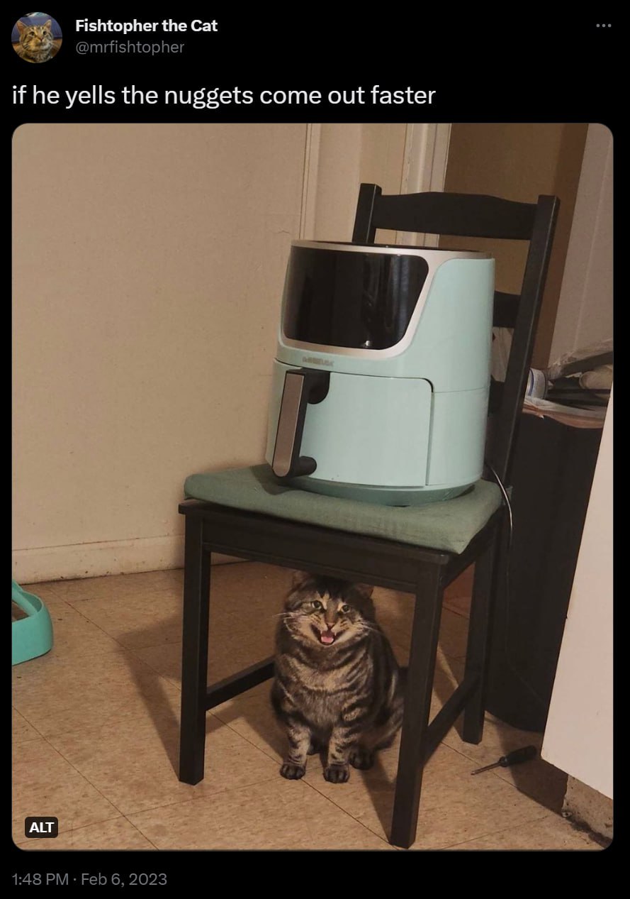 Fishtopher the Cat @mrfishtopher if he yells the nuggets come out faster 1:48 Feb 6, 2023