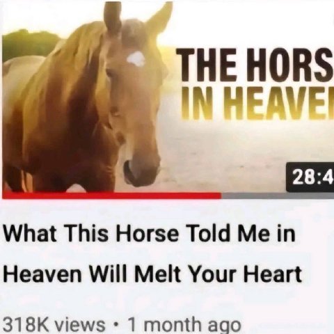 THE HORS IN 28:4 What This Horse Told Heaven Will Melt Your Heart views 1 month ago