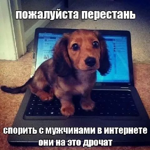 пожалуйста перестань спорить с мужчинами в интернете они это дрочат