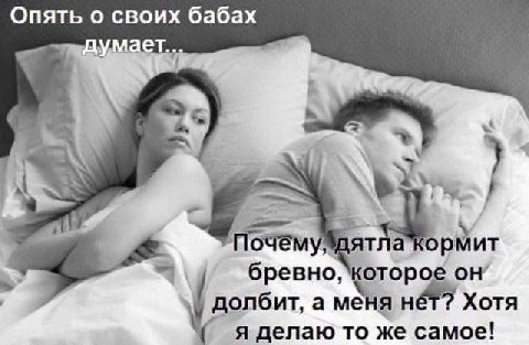 Опять о своих бабах думает... 7 бревно, которое долбит, a меня Her? Хотя я делаю то же самое!