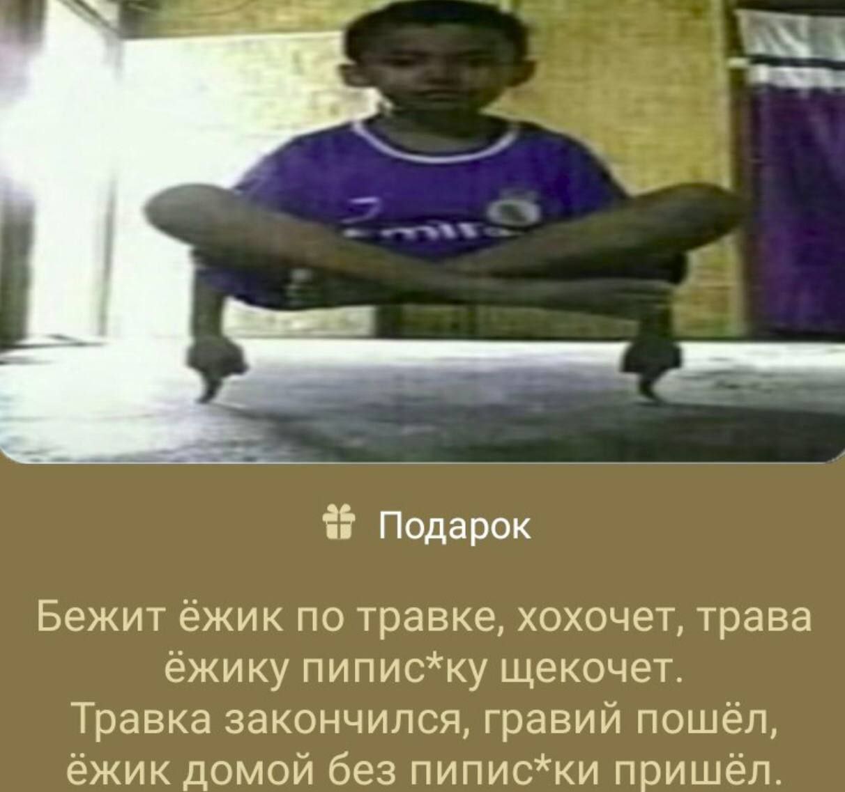 Подарок Бежит ежик по травке, хохочет, трава ежику пипис*ку щекочет Травка закончился, гравии пошел ежик домои без пипис*ки пришел
