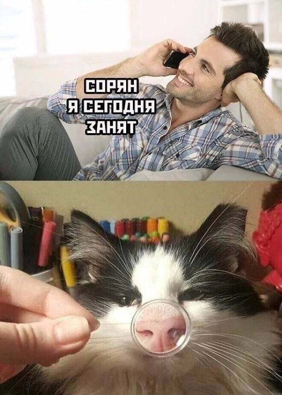 of 'СЕГОДН 8 я