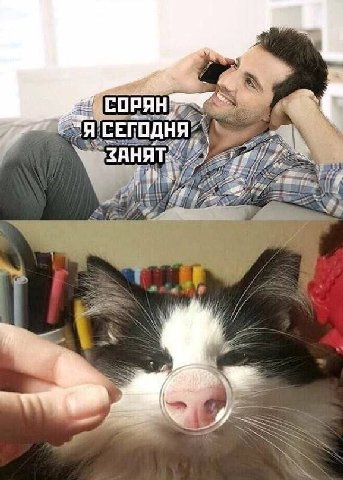 of 'СЕГОДН 8 я
