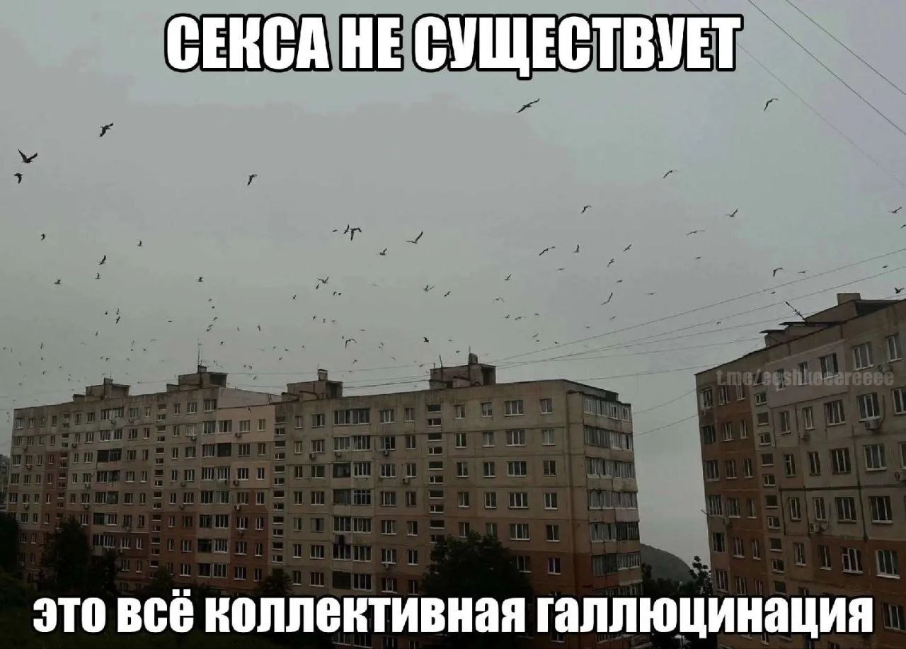 СЕКСА НЕ СУЩЕСТВУЕТ это всё коллективная галлюцинация