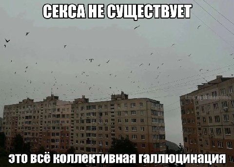 СЕКСА НЕ СУЩЕСТВУЕТ это всё коллективная галлюцинация