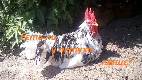 4 7 a Я 7 я SES a 4). 4 у К i в i/ 1 i 4 PAN A of A we 4 27” is SOE 4