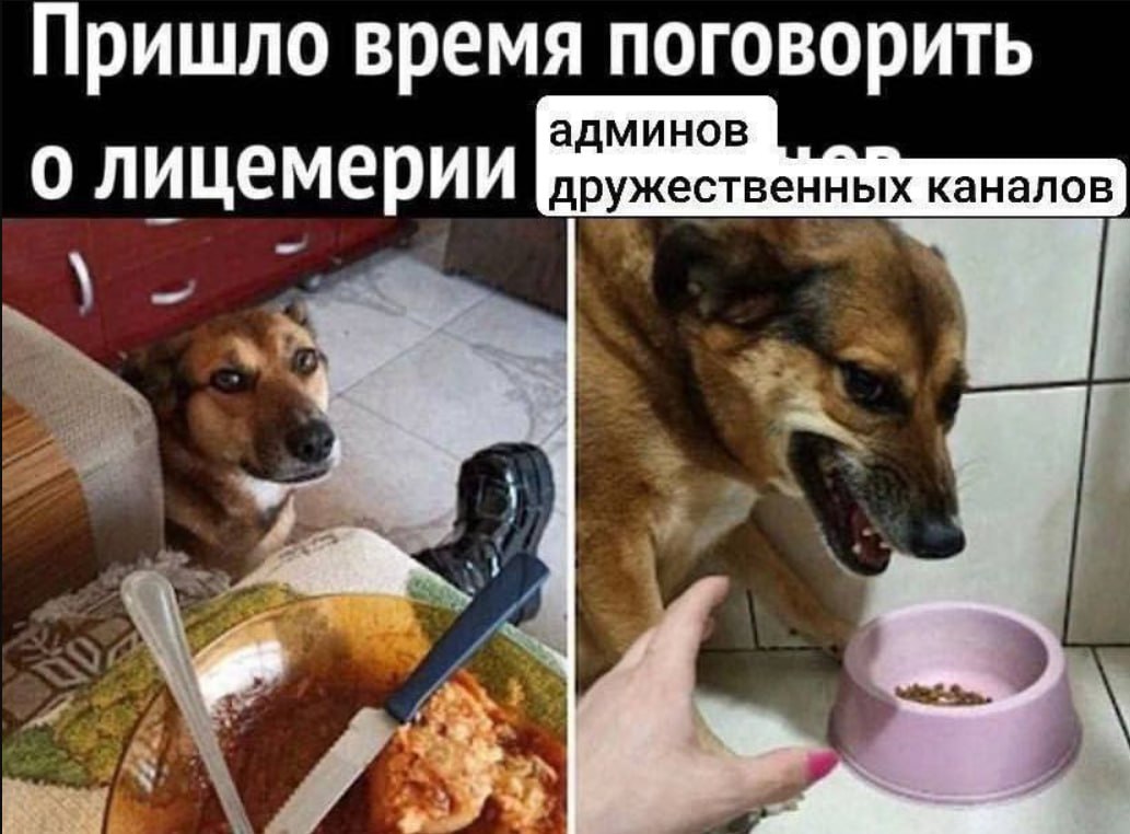 Пришло время поговорить о лицемерии 8 каналов
