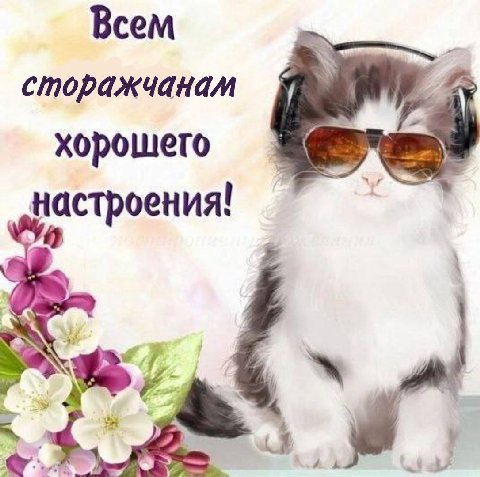 Всем сторажчанам a настроения! 4