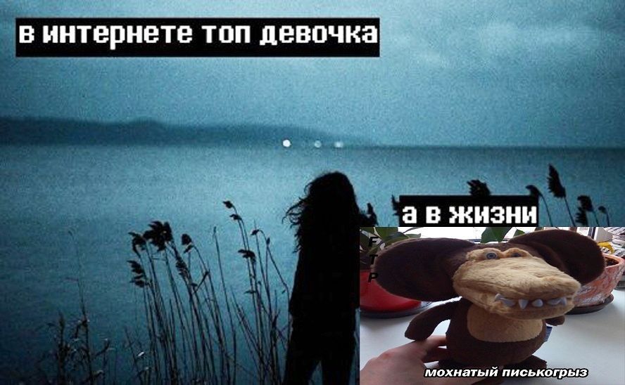 в интернете топ девочка а в жизни a мохнатый