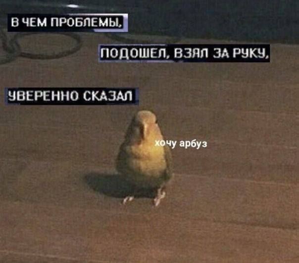 В ЧЕМ ПРОБЛЕМЫ, ПОДОШЕЛ, ВЗЯЛ ЗА РУКЧ ЧВЕРЕННО СКАЗАЛ ap6y3