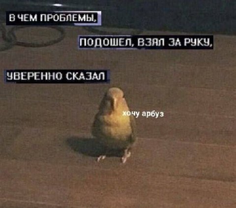 В ЧЕМ ПРОБЛЕМЫ, ПОДОШЕЛ, ВЗЯЛ ЗА РУКЧ ЧВЕРЕННО СКАЗАЛ ap6y3