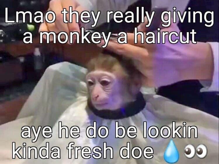 Lmao they really giving атопкеу a haircut be.lookin fresh doe 99