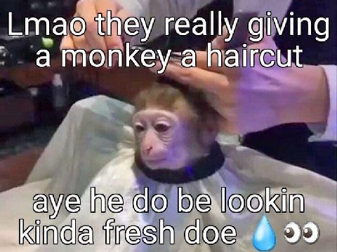 Lmao they really giving атопкеу a haircut be.lookin fresh doe 99
