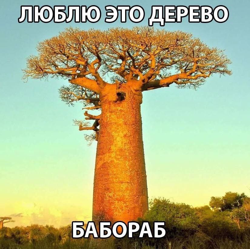 ЛЮБЛЮ у 4% orc i an a 5$ к: oF БАБО РАБ