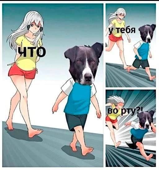 тебя МУХ 9 о a A