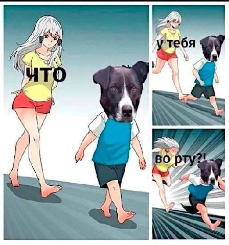 тебя МУХ 9 о a A
