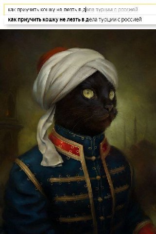 как приучить кошку не лезть в дела турции с россией как приучить кошку не лезть в дела турции с россией Я 2 у
