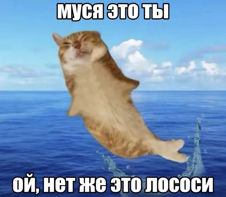 МУСЯ это ты нет же это лососи