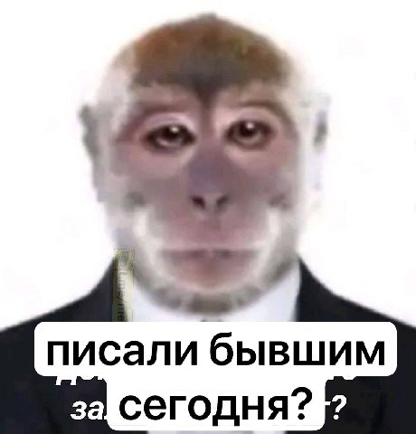 реальная бибизяна