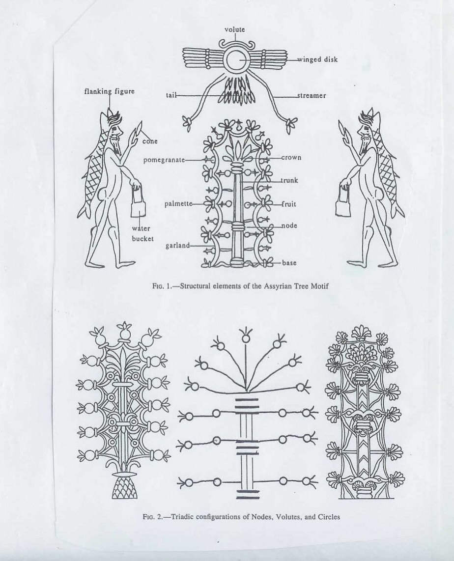 volute inged disk flanking figure tail cone pomegranate- А palmett uit iN water ode bucket garland: вазе Во. 1,—Structural elements of the Assyrian Tree Motif 0 AVP 2 sO А OMG А A Fic. 2.—Triadic conf