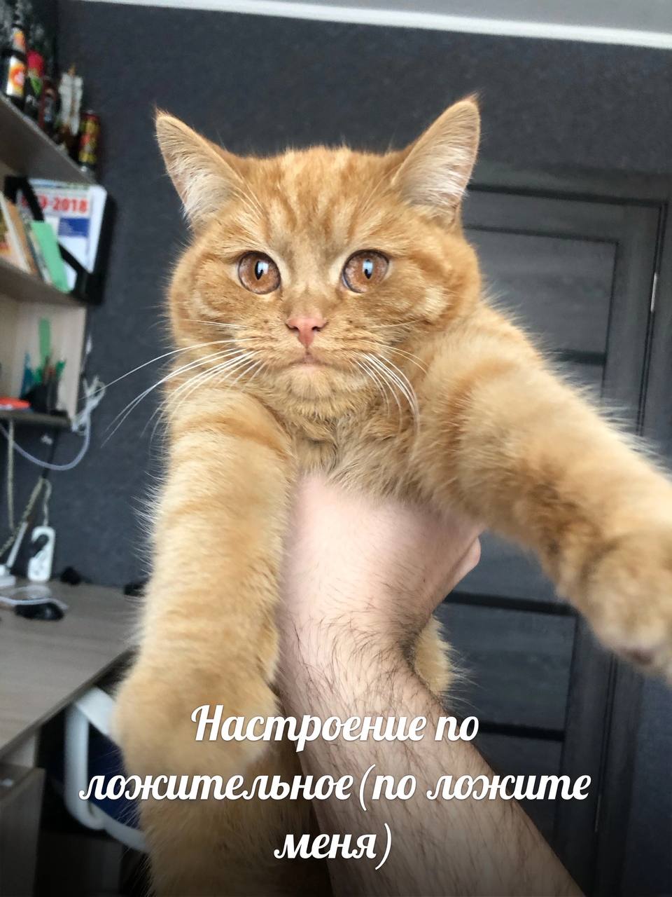 Я Hacmp 2 ПО ложительное (по ложите меня)