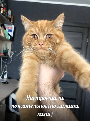 Я Hacmp 2 ПО ложительное (по ложите меня)