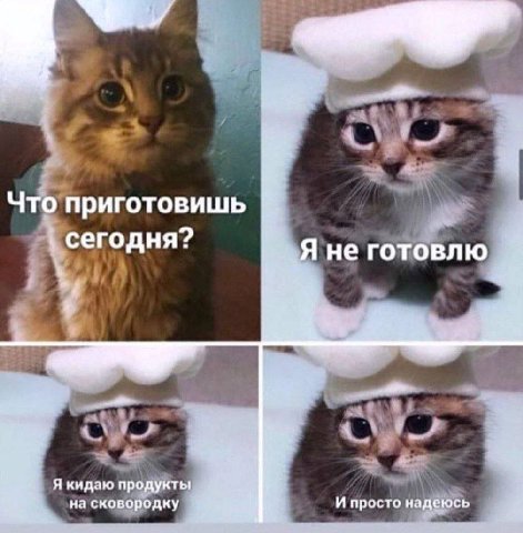 Что приготовишь сегодня? Я не готовлю Я кидаю продукты 4 на сковородку И просто надеюсь я