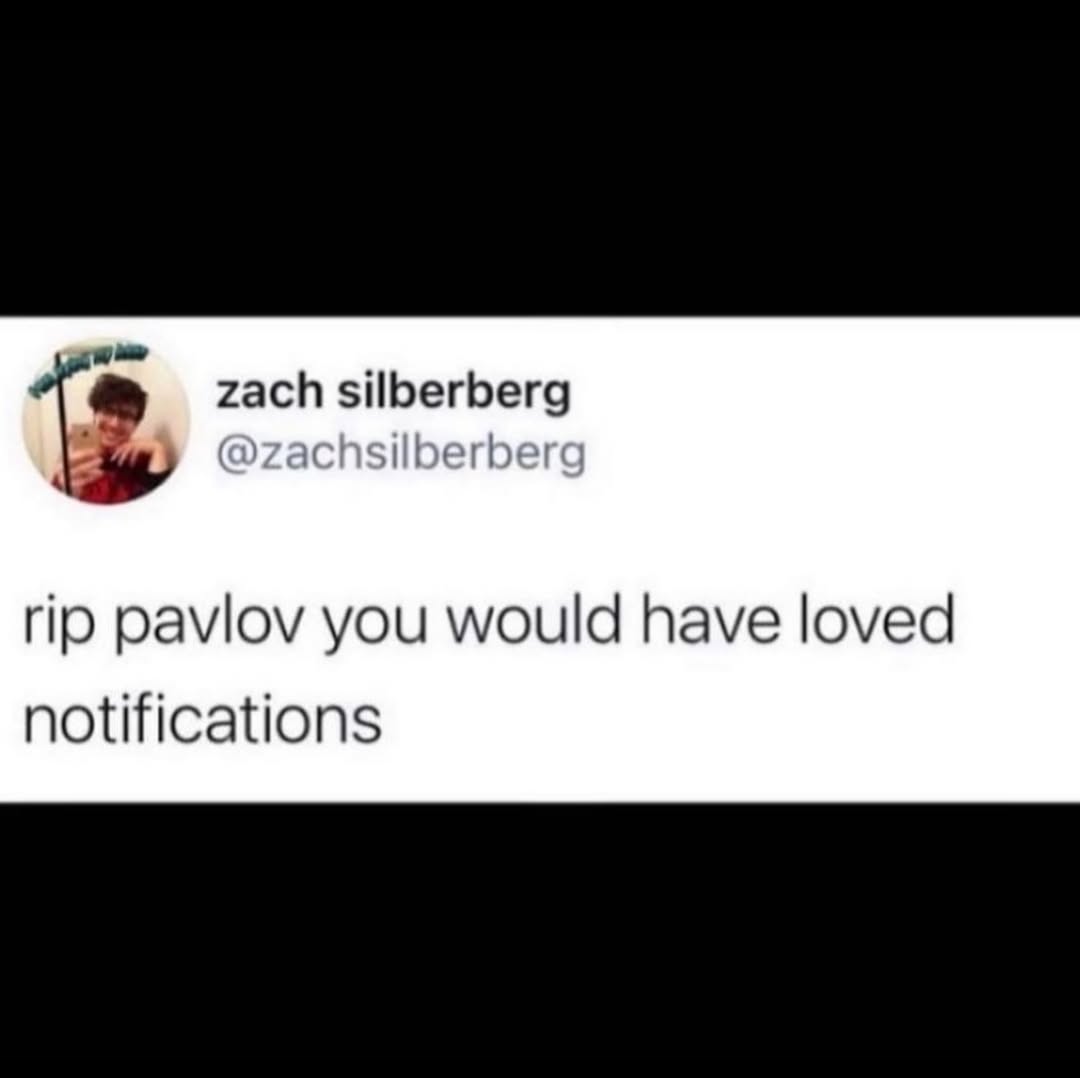 zach silberberg rat Silt егрег‹ rip рамоу you would have loved notifications