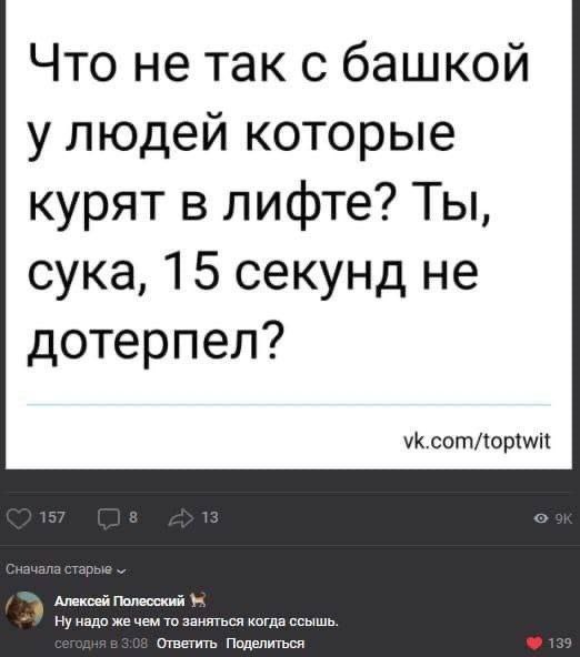 Топтвит