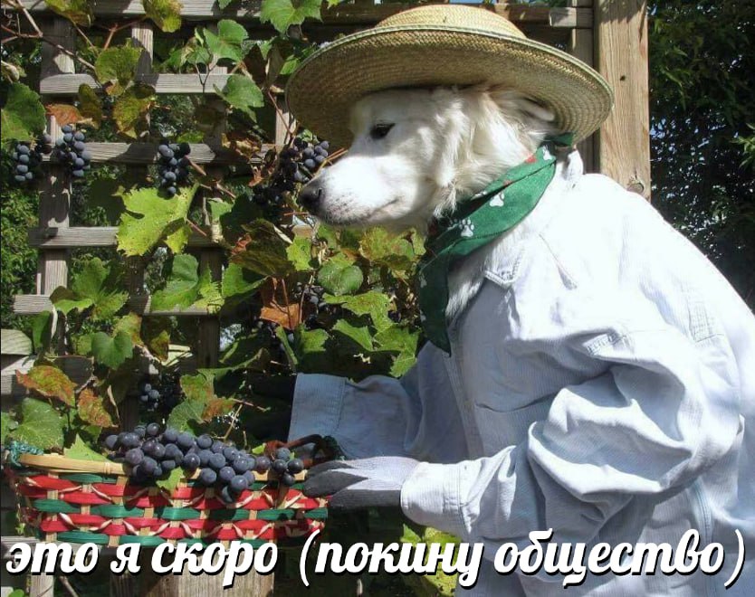 3 key это я скоро (покину одщест®о a