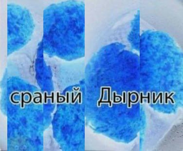 4 ‘сраный