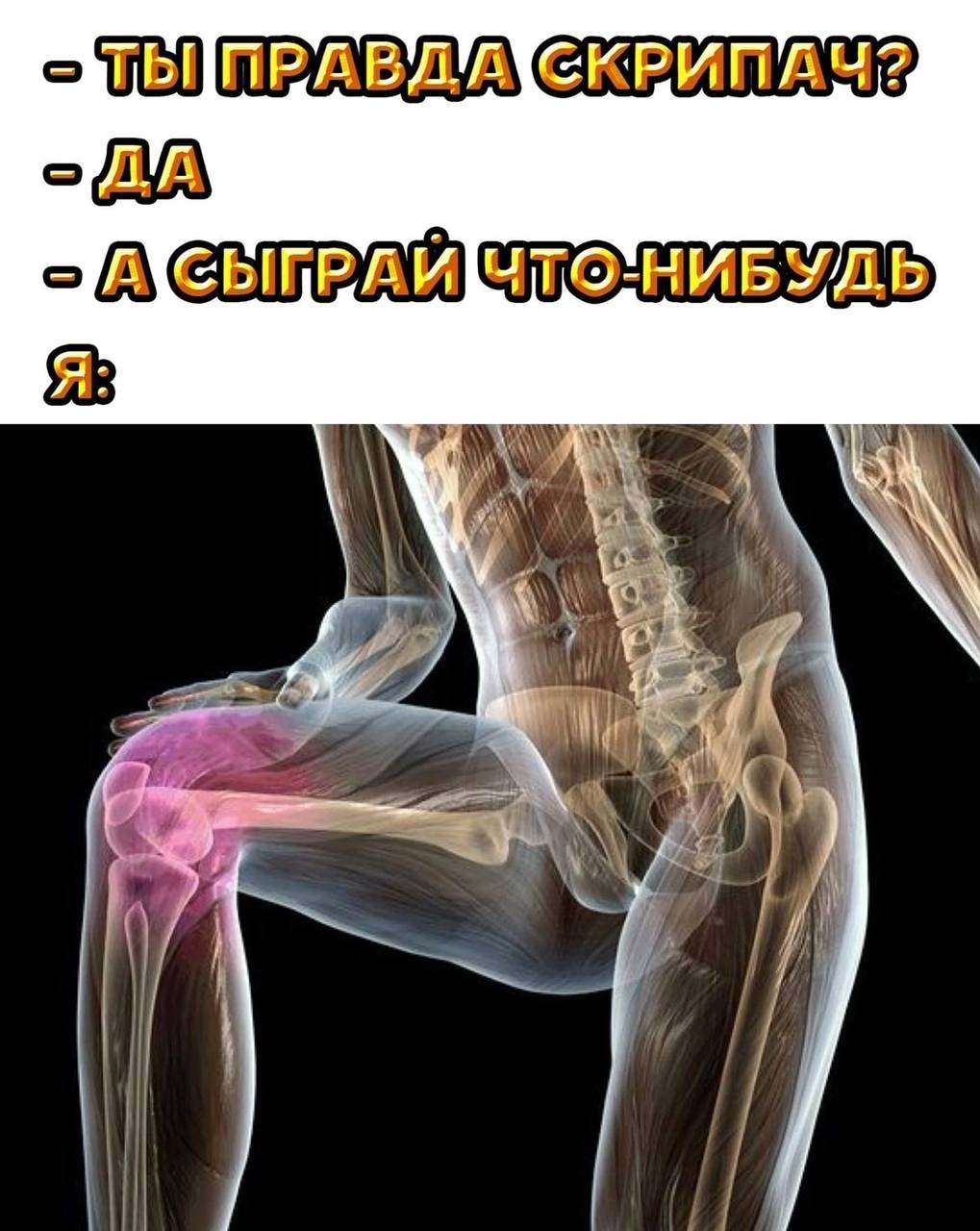 СКРИПАЧ? >ДА 4 i 4
