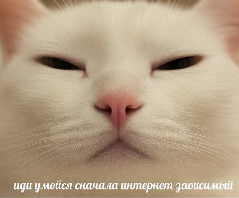 if wal умойся сначала интернет