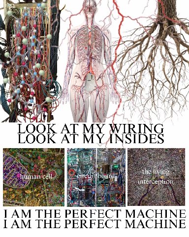 Я A ГООК MY WIRING LOOK AT MYANSIDES I THE PERFECT MACHINE I THE PERFECT MACHINE