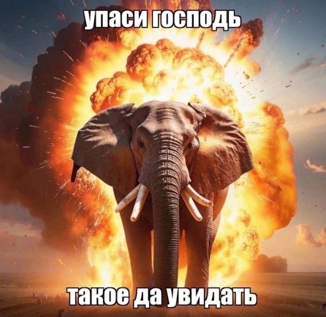 упаси господь такое да увидать