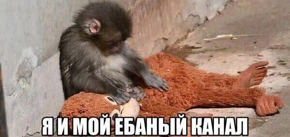 у МОЙ ЕБАНЫЙ КАНАЛ