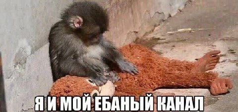 у МОЙ ЕБАНЫЙ КАНАЛ