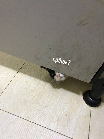 iy