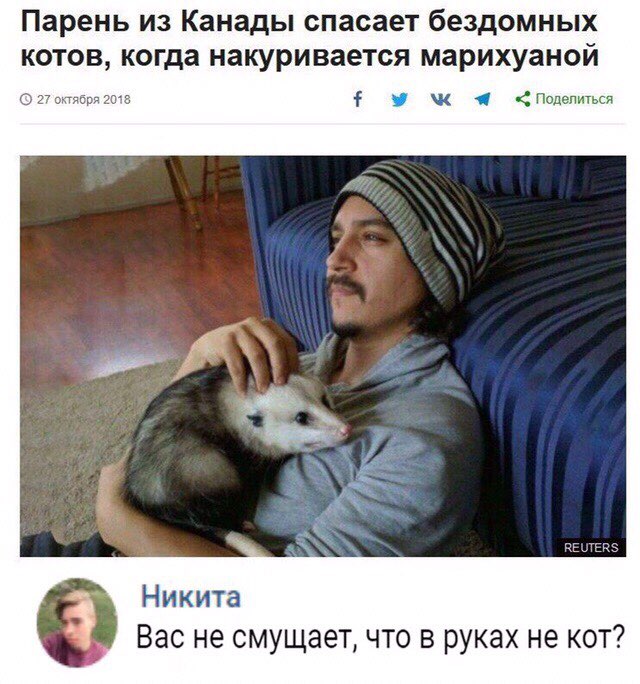 Парень из Канады спасает бездомных котов, когда накуривается марихуаной 27 октября 2018 REUTERS Никита Вас не смущает, что в руках не кот?