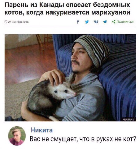 Парень из Канады спасает бездомных котов, когда накуривается марихуаной 27 октября 2018 REUTERS Никита Вас не смущает, что в руках не кот?