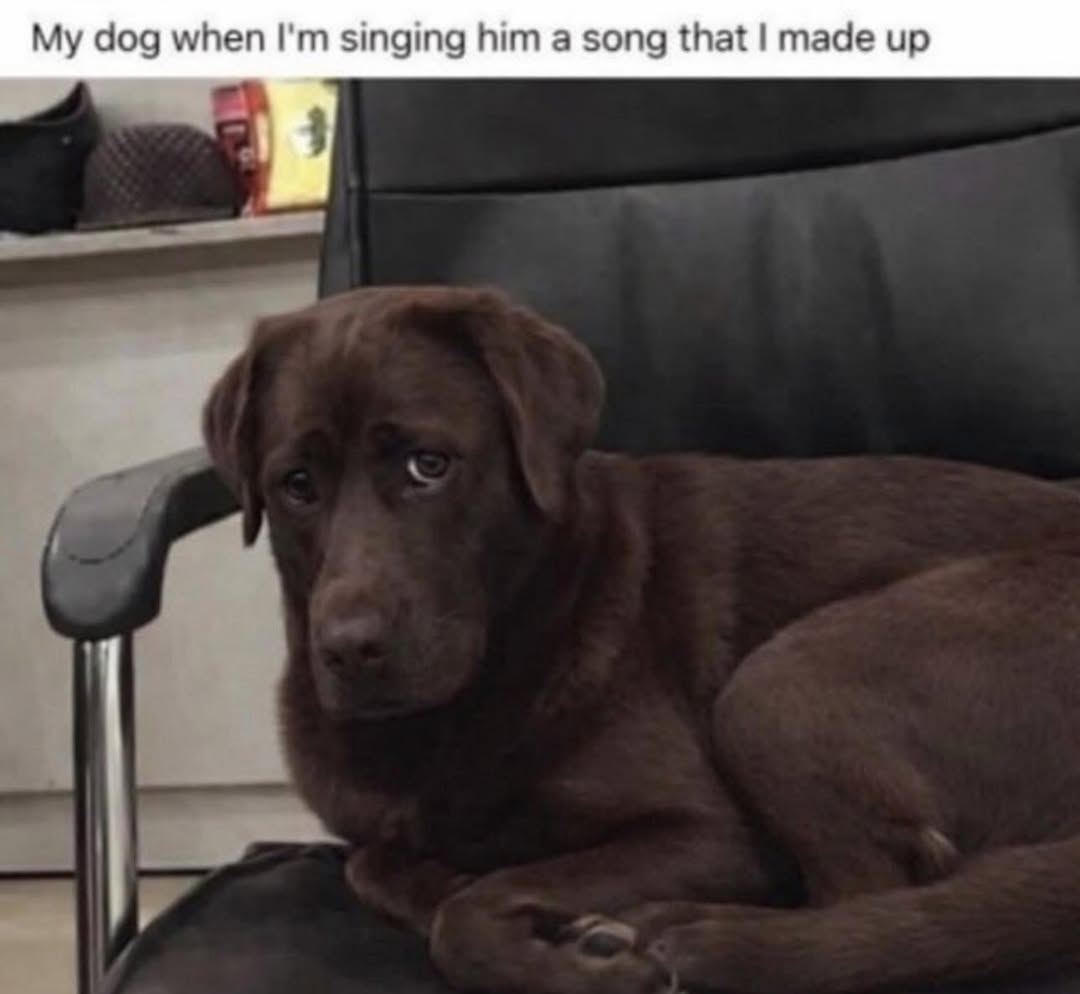 dog when singing him a song that made up