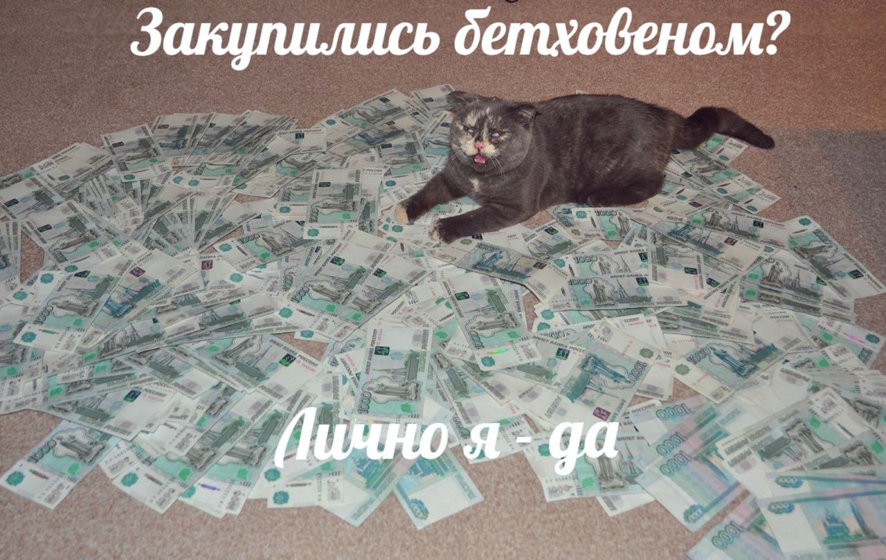 Закупились бетховеном