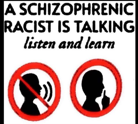 A SCHIZOPHRENIC RACIST IS TALKING listen and learn