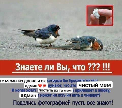 предложке
