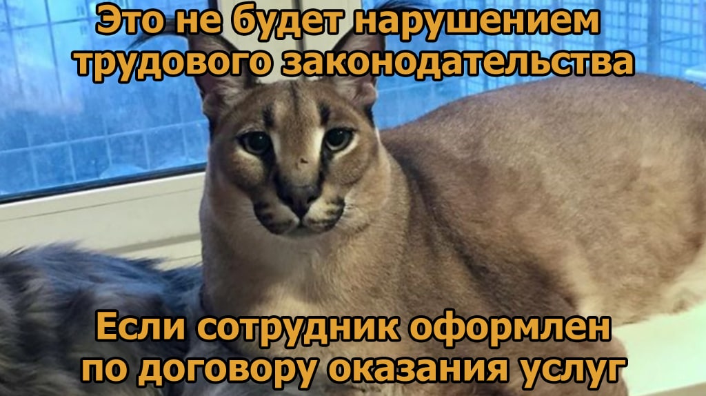 нарушением Если оформлен по